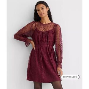 New LOFT Burgundy Lace Mini Dress